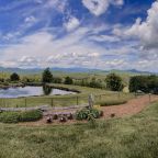 45-IMG_8167 (1)