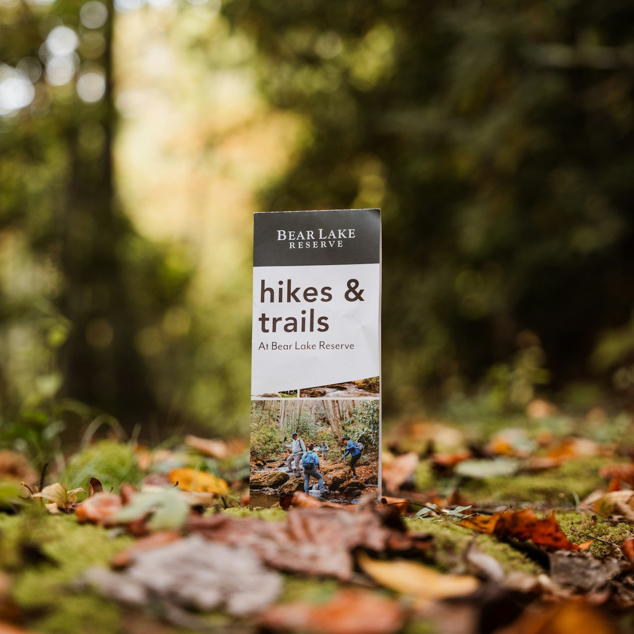 BLR_HikeBrochure_Mockup