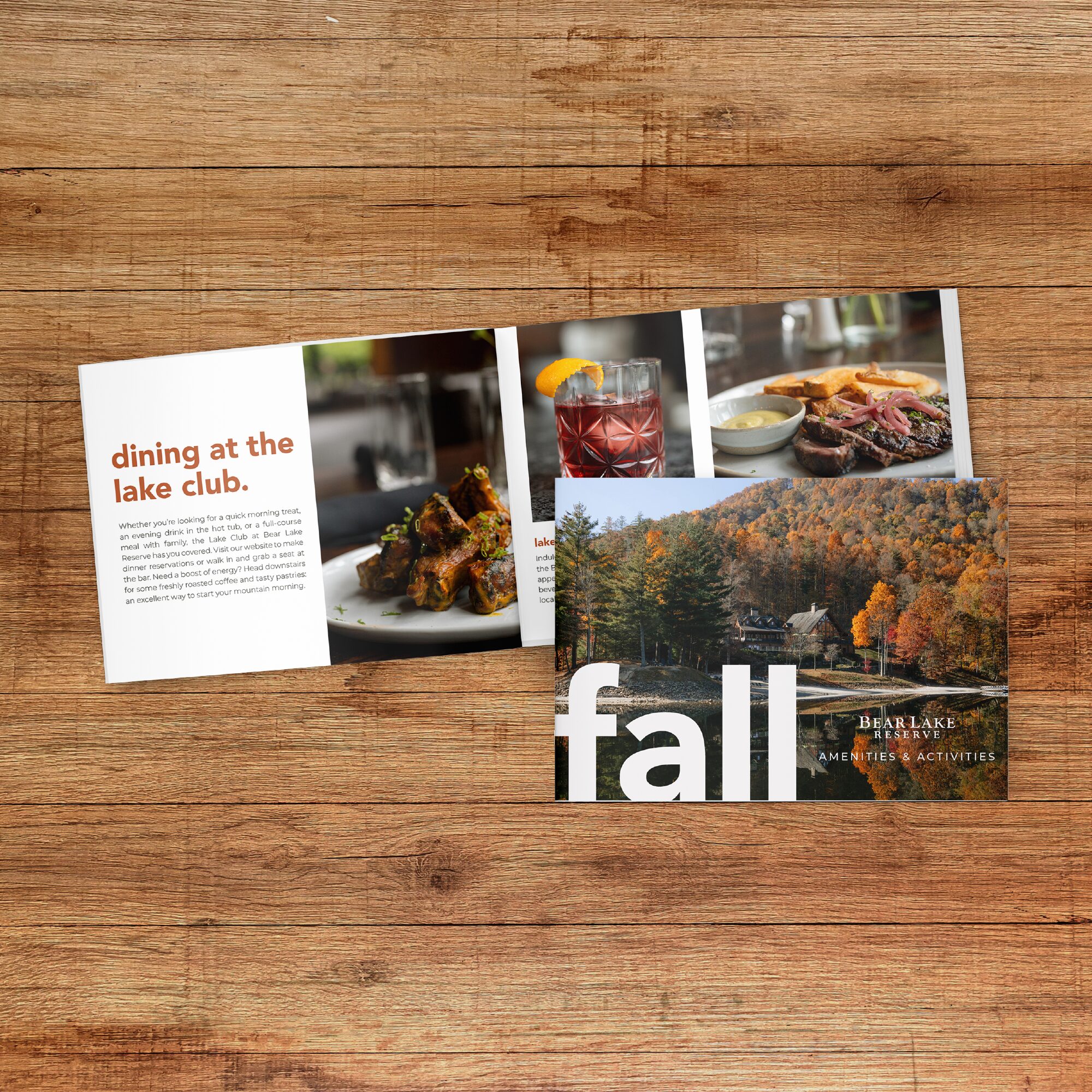 BLR_Portfolio_Mockups-01